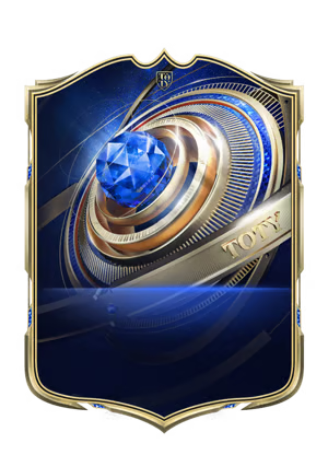 Team of the Year badge